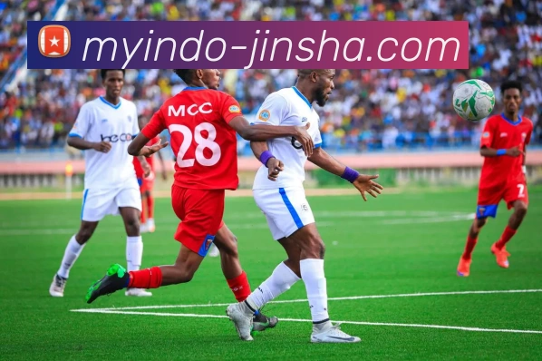 App Interface Preview