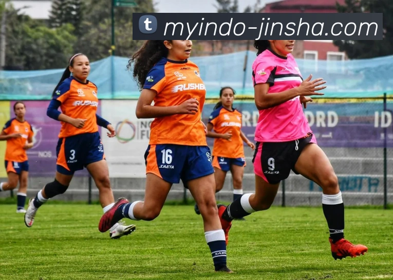 金沙国际APP 封面图